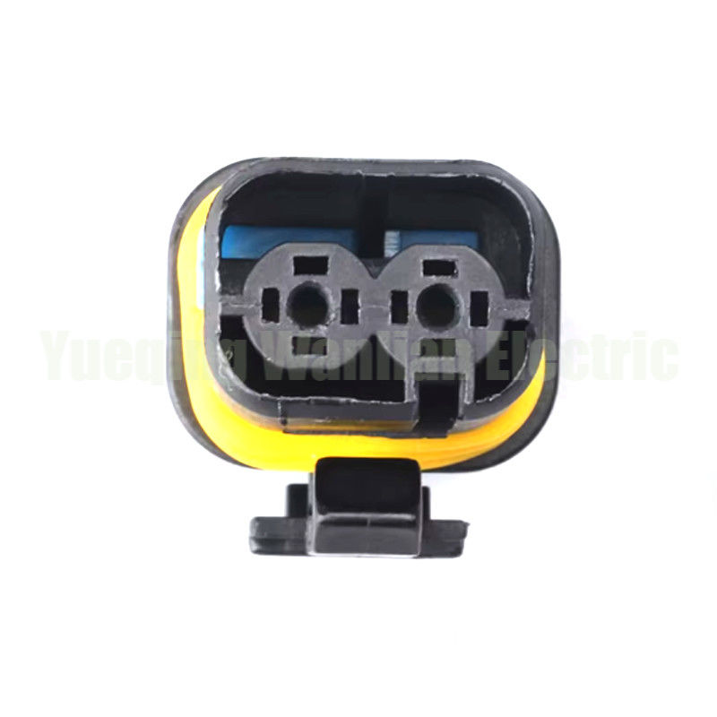 2 pin 18286000002 Enchufe de relé automotriz EFI Enchufe de motor Enchufe eléctrica de conector eléctrico de automóviles