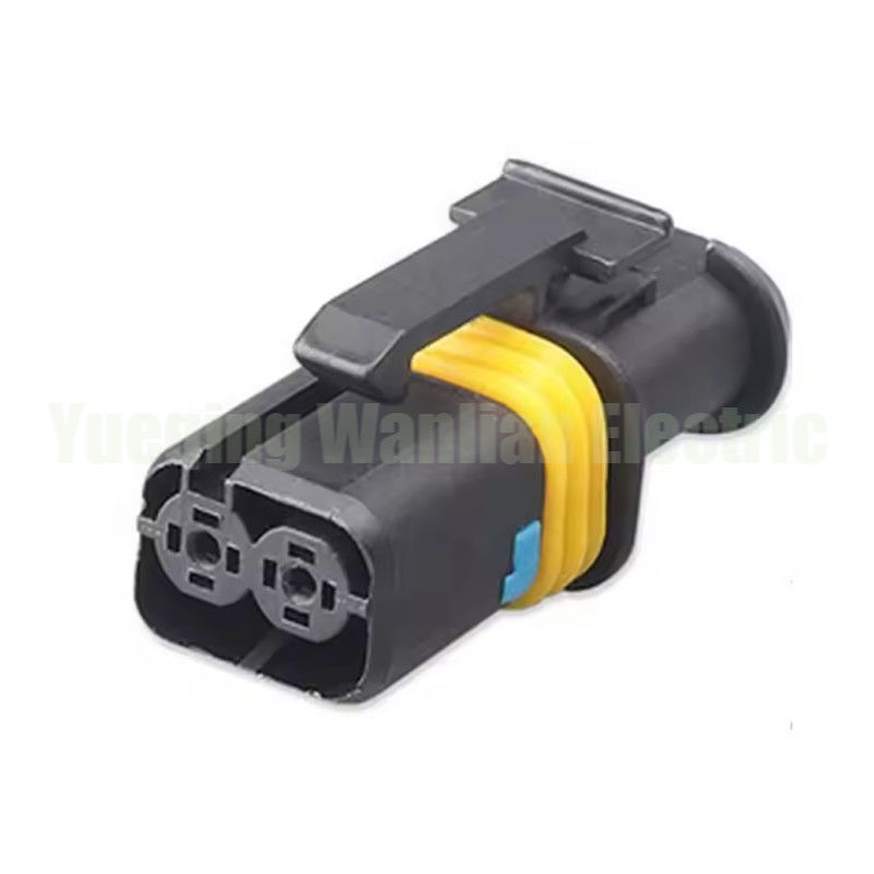 2 pin 18286000002 Enchufe de relé automotriz EFI Enchufe de motor Enchufe eléctrica de conector eléctrico de automóviles
